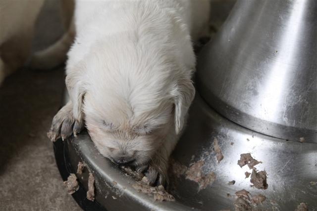 Dit is de laatste foto